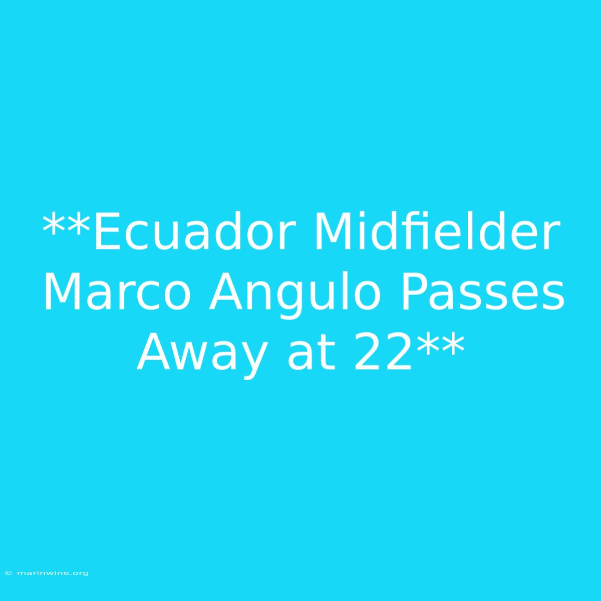 **Ecuador Midfielder Marco Angulo Passes Away At 22**