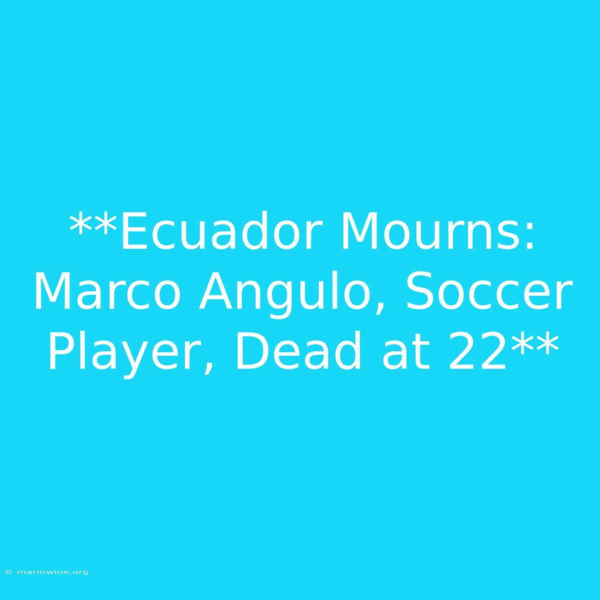 **Ecuador Mourns: Marco Angulo, Soccer Player, Dead At 22** 