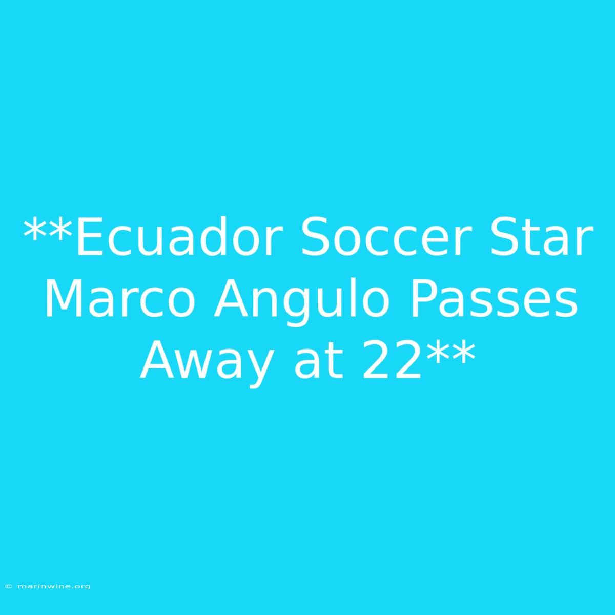 **Ecuador Soccer Star Marco Angulo Passes Away At 22**