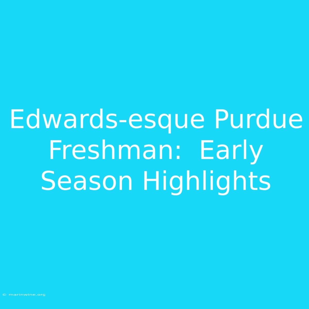 Edwards-esque Purdue Freshman:  Early Season Highlights