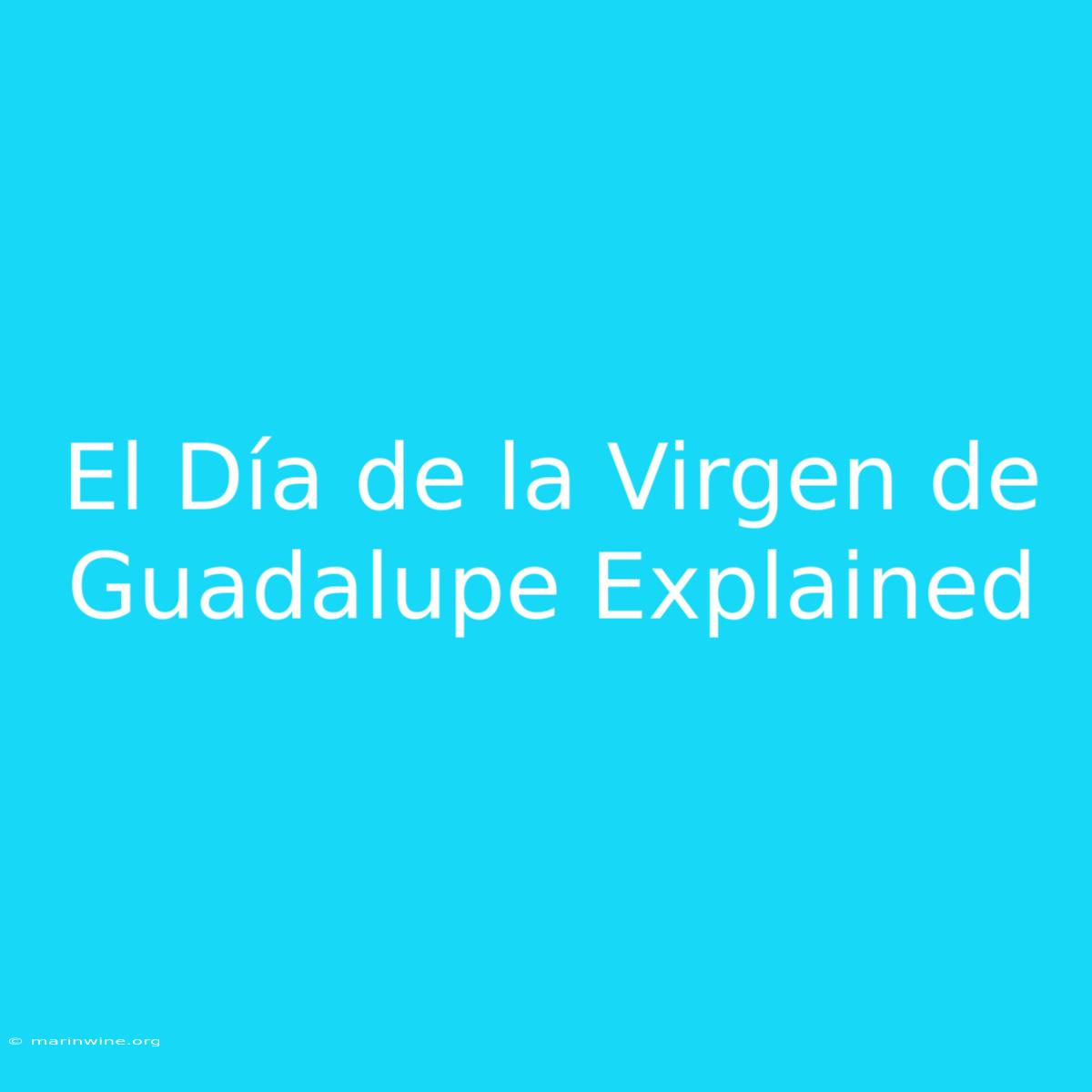 El Día De La Virgen De Guadalupe Explained