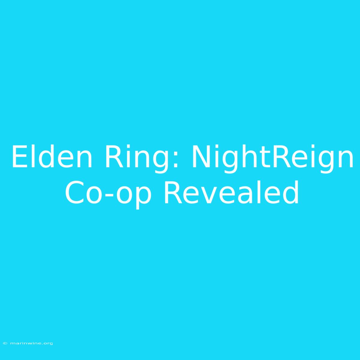 Elden Ring: NightReign Co-op Revealed