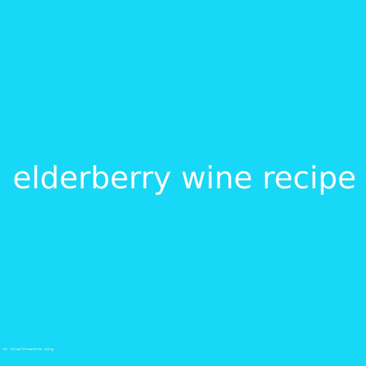 Elderberry Wine Recipe