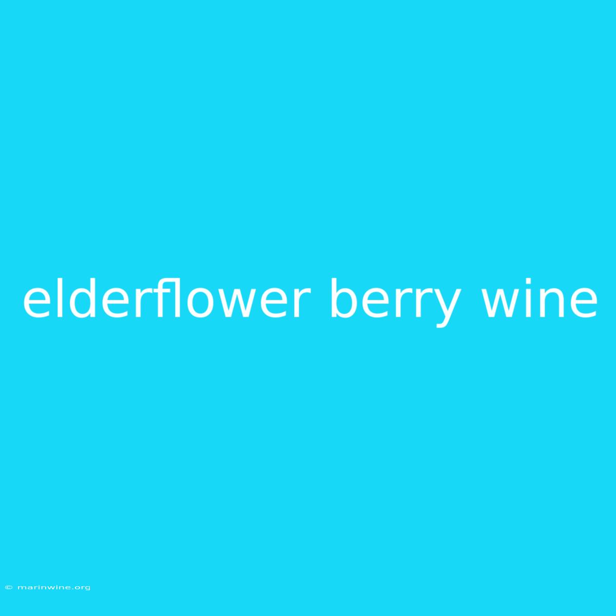 Elderflower Berry Wine