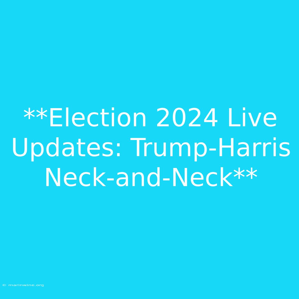 **Election 2024 Live Updates: Trump-Harris Neck-and-Neck**