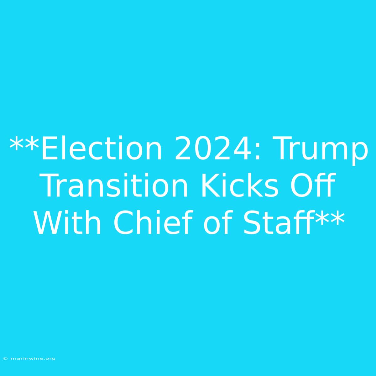 **Election 2024: Trump Transition Kicks Off With Chief Of Staff**