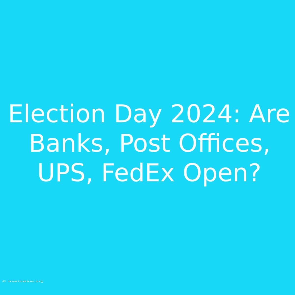 Election Day 2024: Are Banks, Post Offices, UPS, FedEx Open?