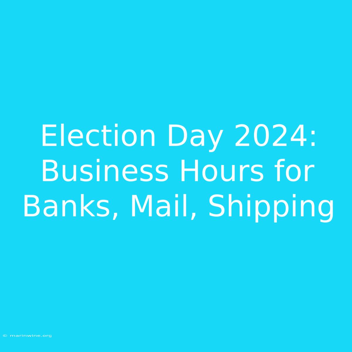 Election Day 2024: Business Hours For Banks, Mail, Shipping 