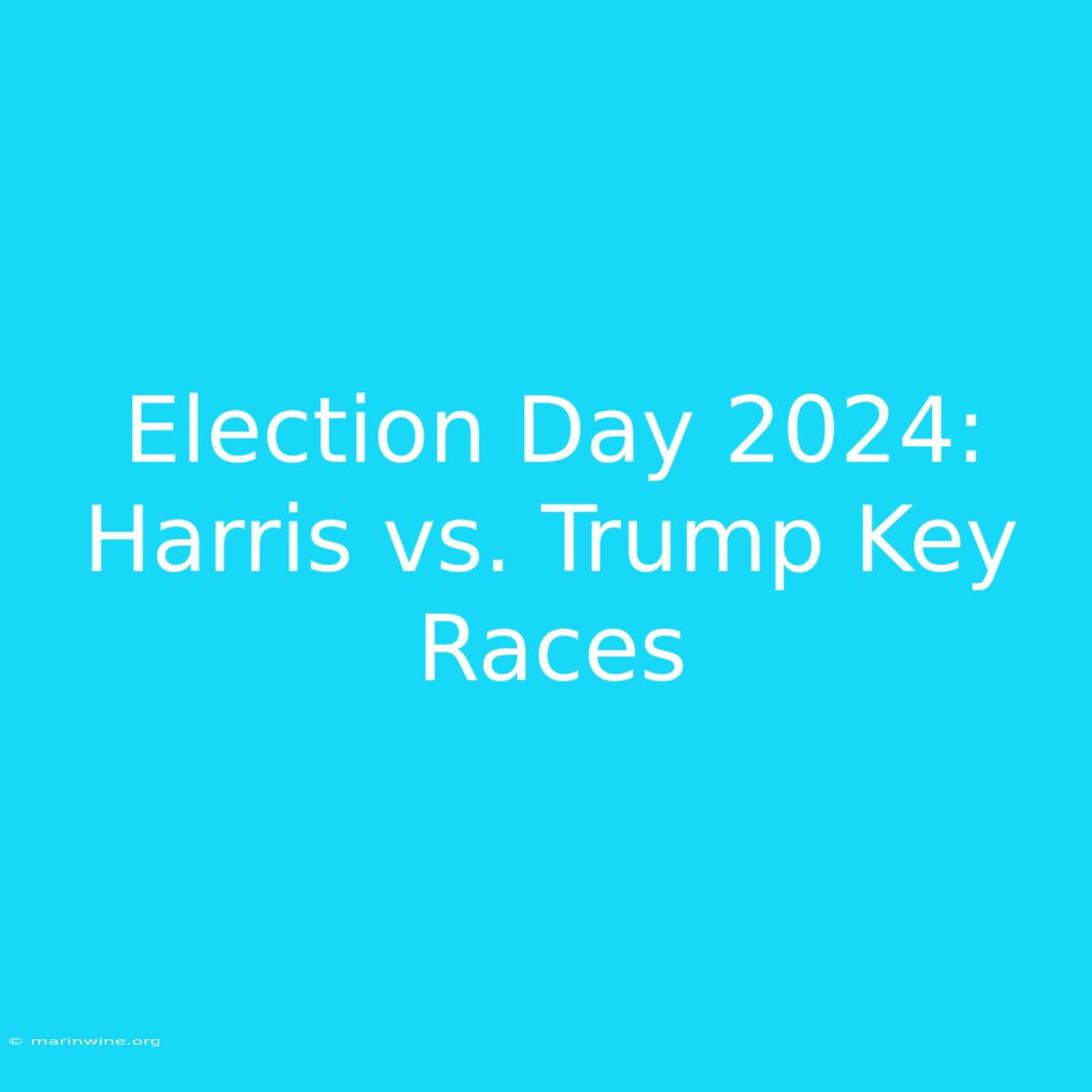 Election Day 2024: Harris Vs. Trump Key Races