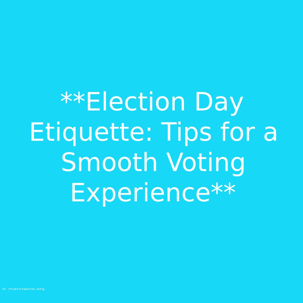 **Election Day Etiquette: Tips For A Smooth Voting Experience** 