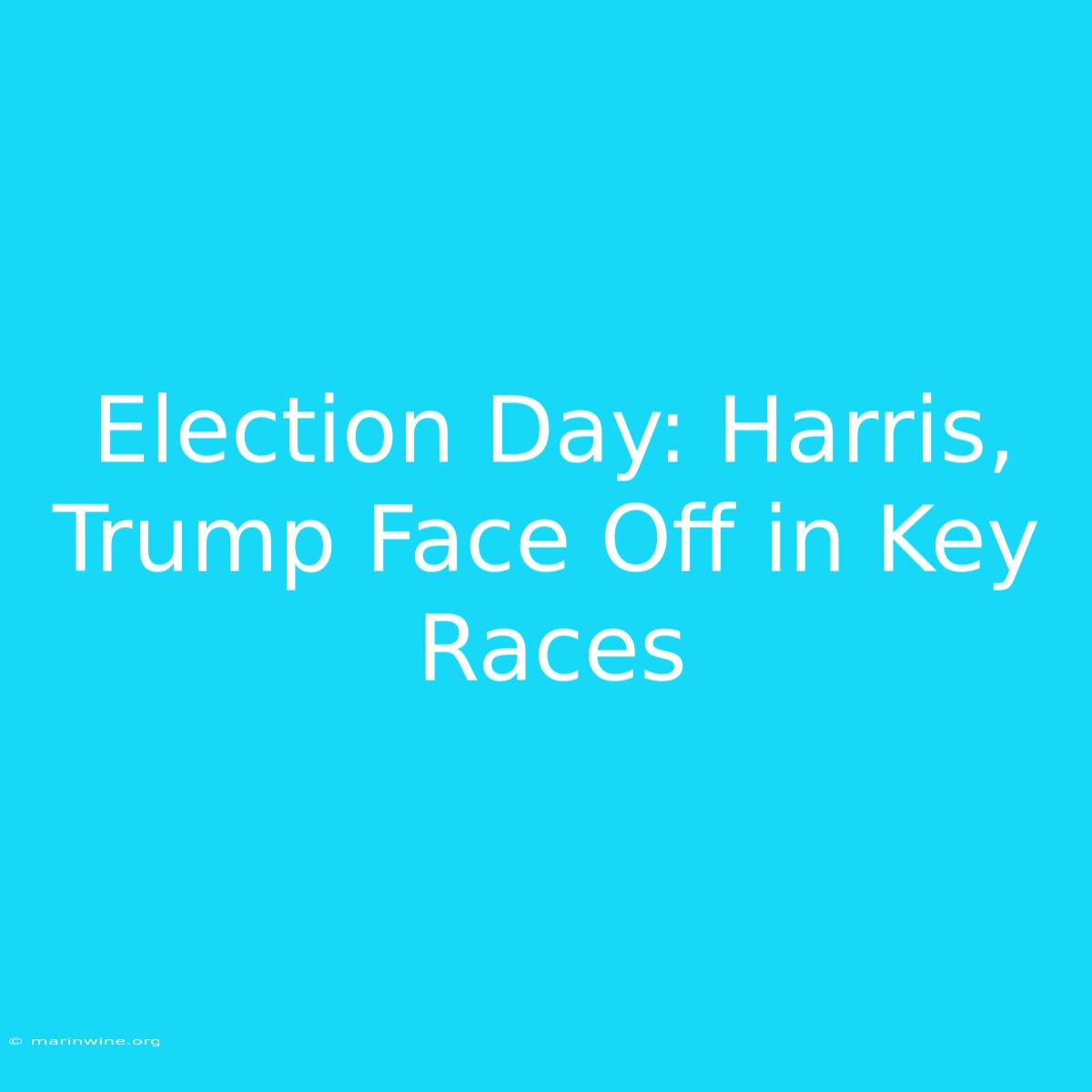 Election Day: Harris, Trump Face Off In Key Races 