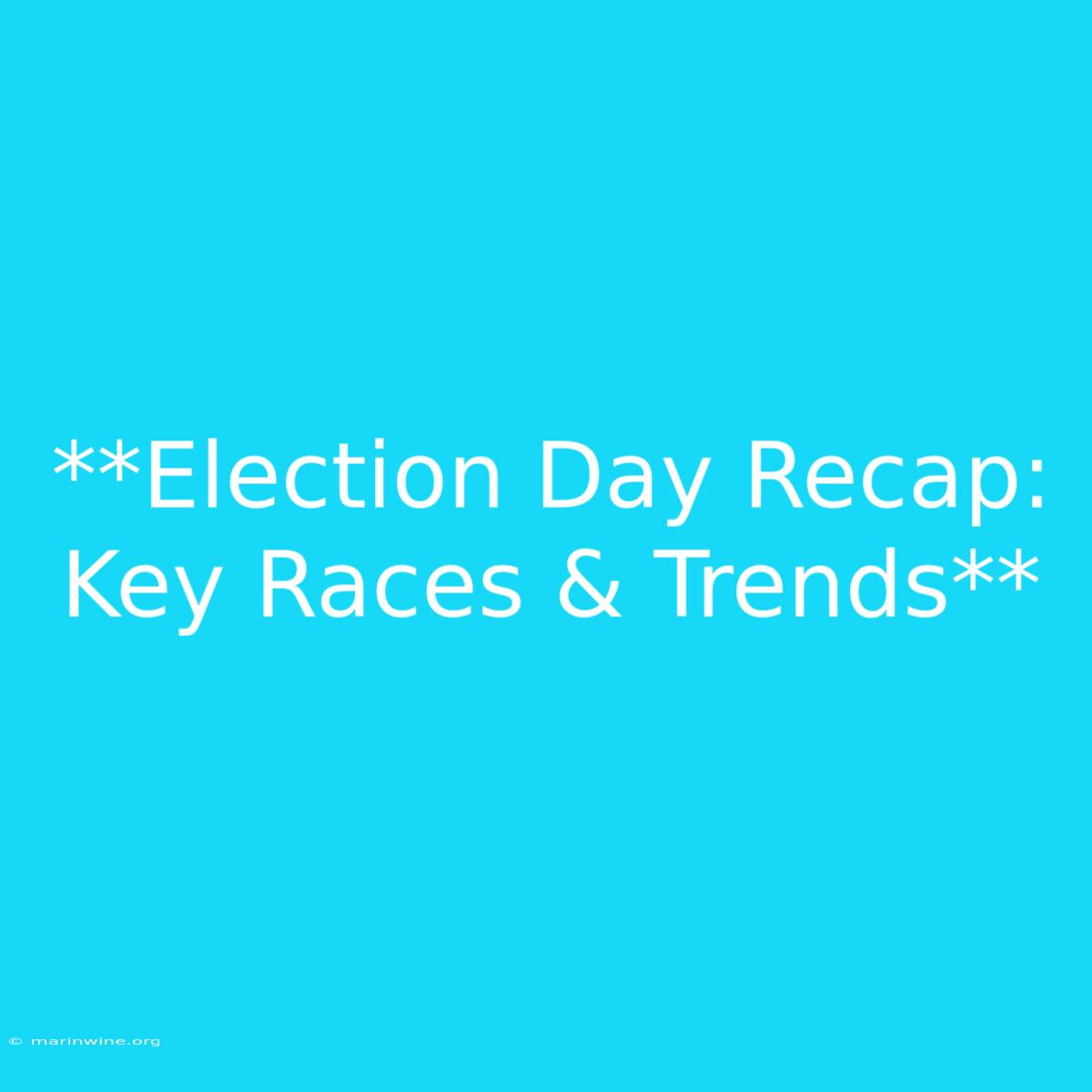 **Election Day Recap: Key Races & Trends** 