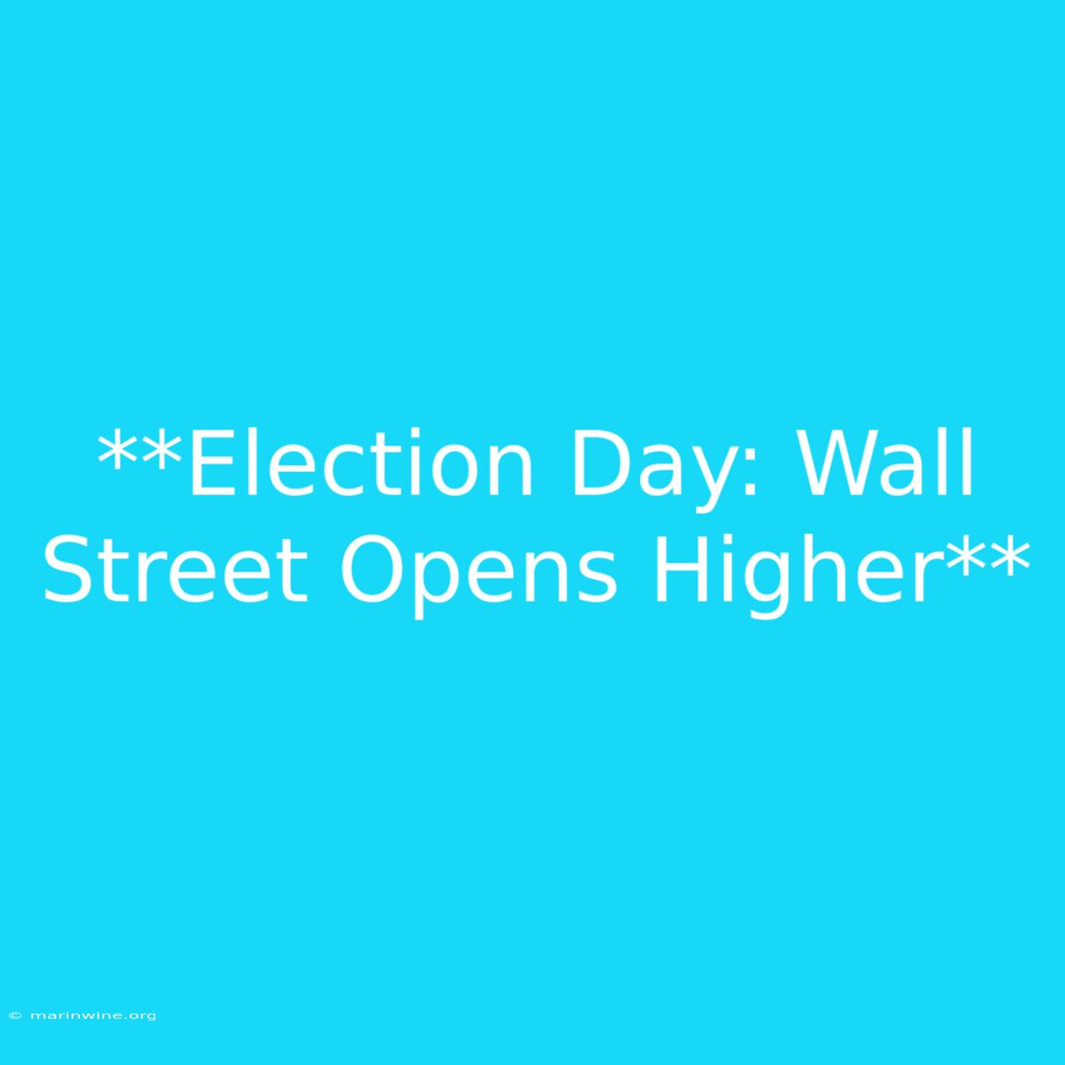 **Election Day: Wall Street Opens Higher** 