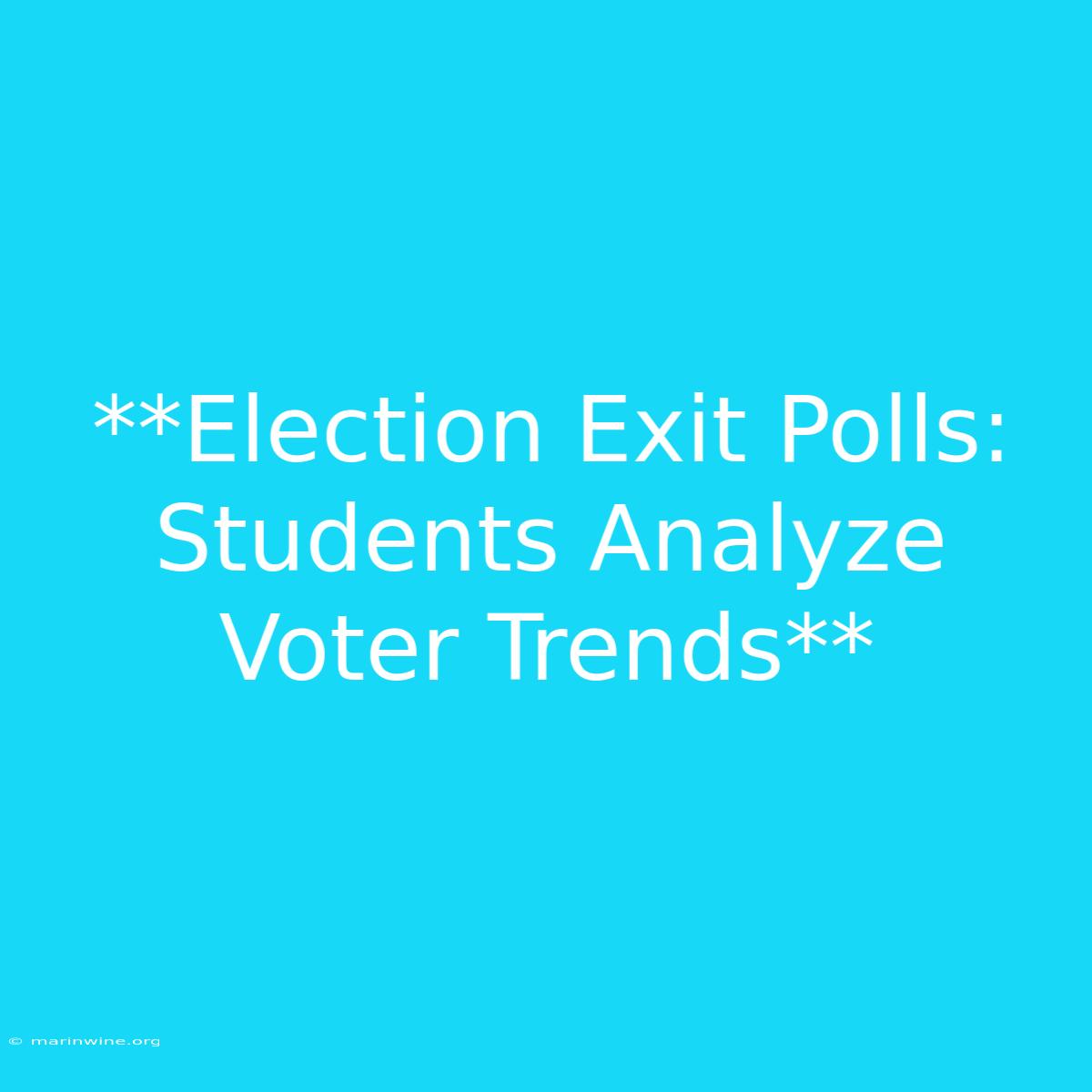 **Election Exit Polls: Students Analyze Voter Trends** 