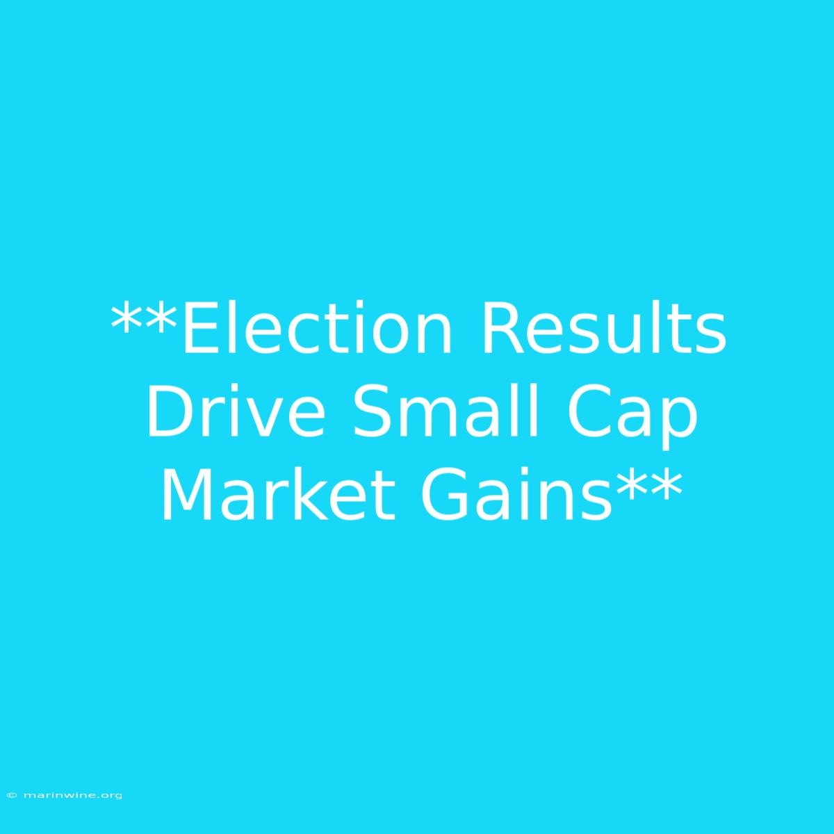 **Election Results Drive Small Cap Market Gains**