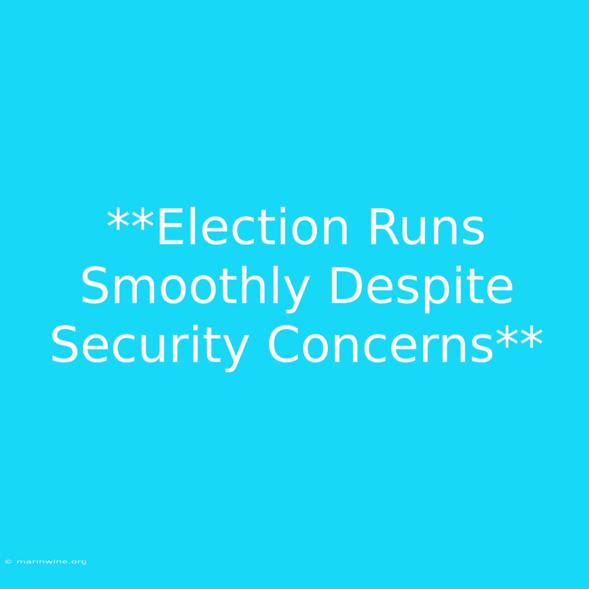 **Election Runs Smoothly Despite Security Concerns**