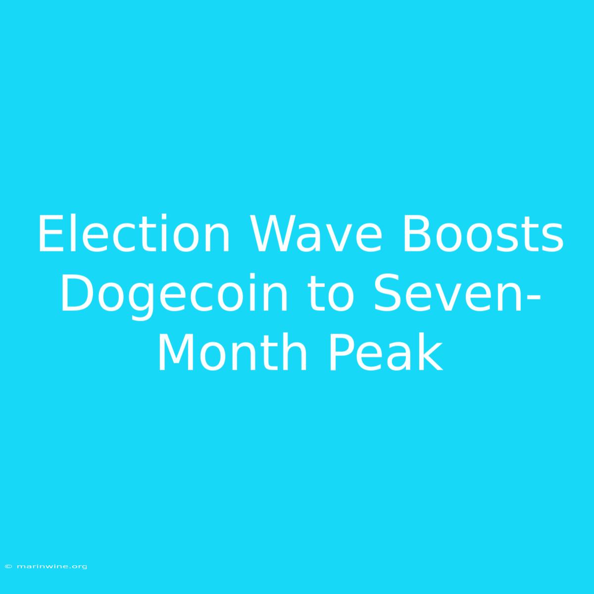 Election Wave Boosts Dogecoin To Seven-Month Peak