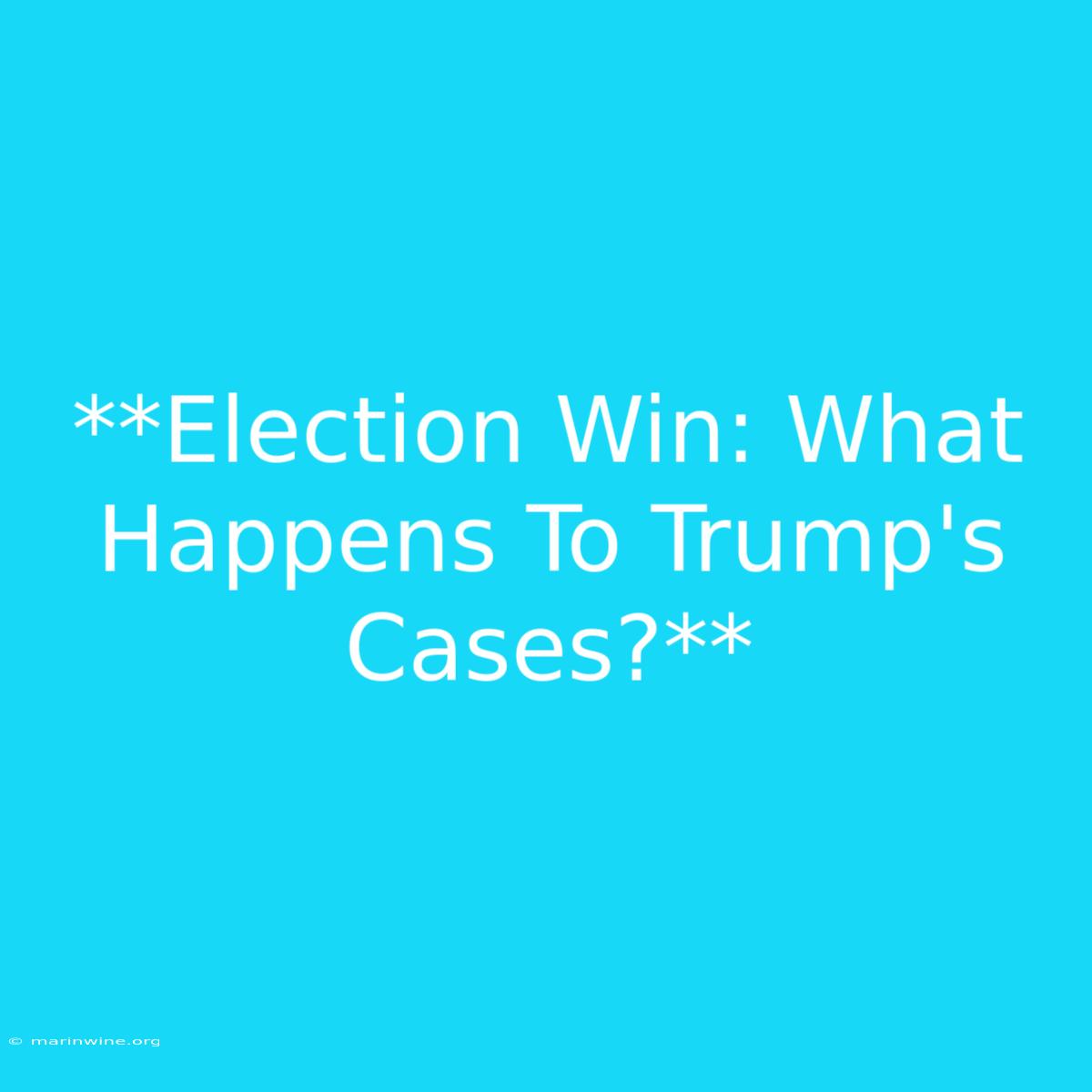 **Election Win: What Happens To Trump's Cases?** 