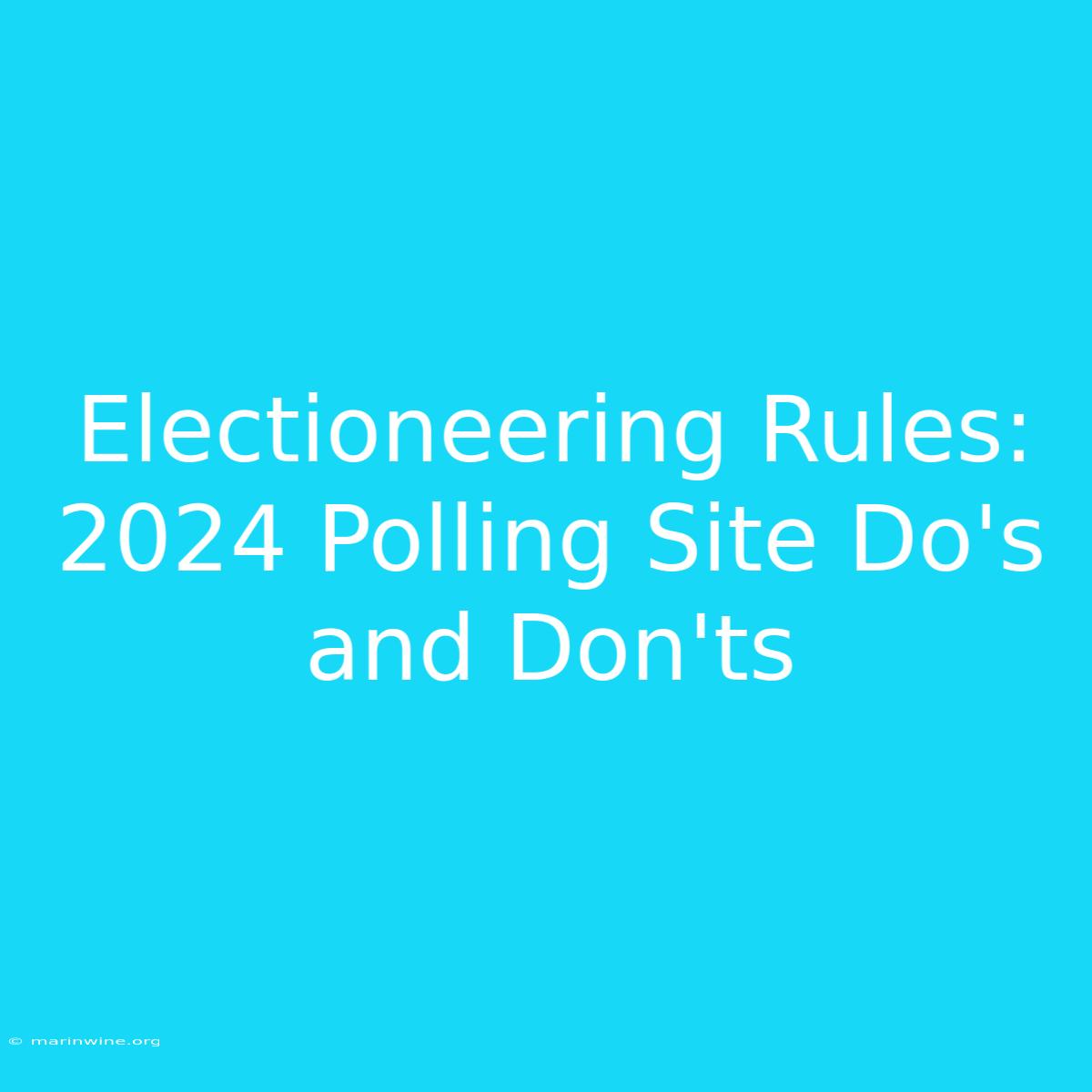 Electioneering Rules: 2024 Polling Site Do's And Don'ts