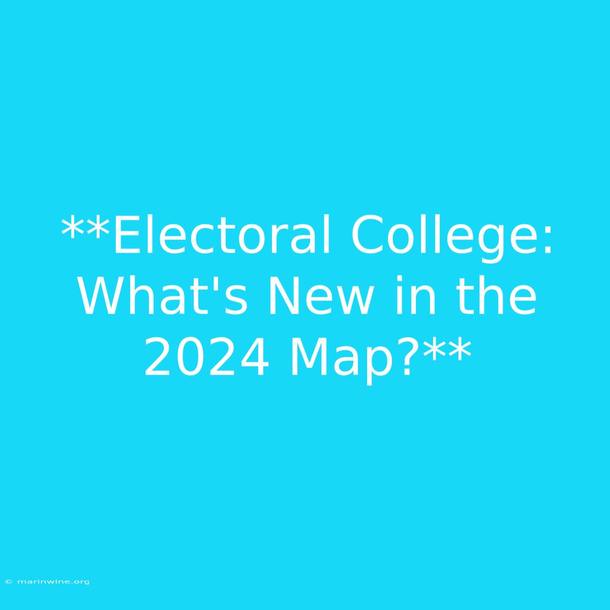 **Electoral College: What's New In The 2024 Map?** 