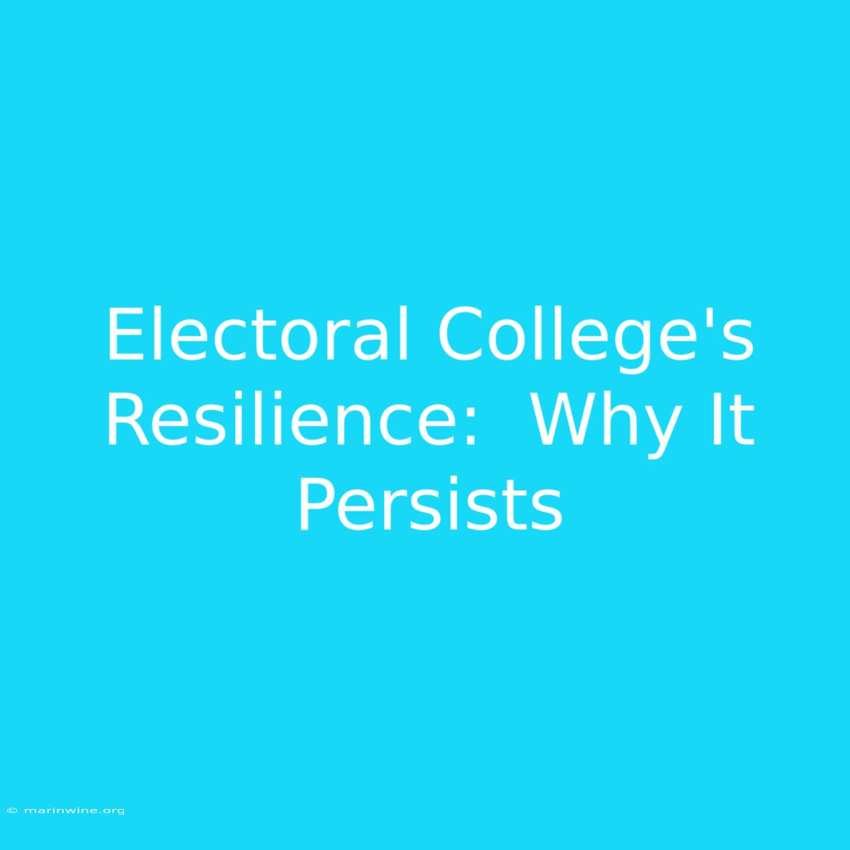 Electoral College's  Resilience:  Why It Persists 