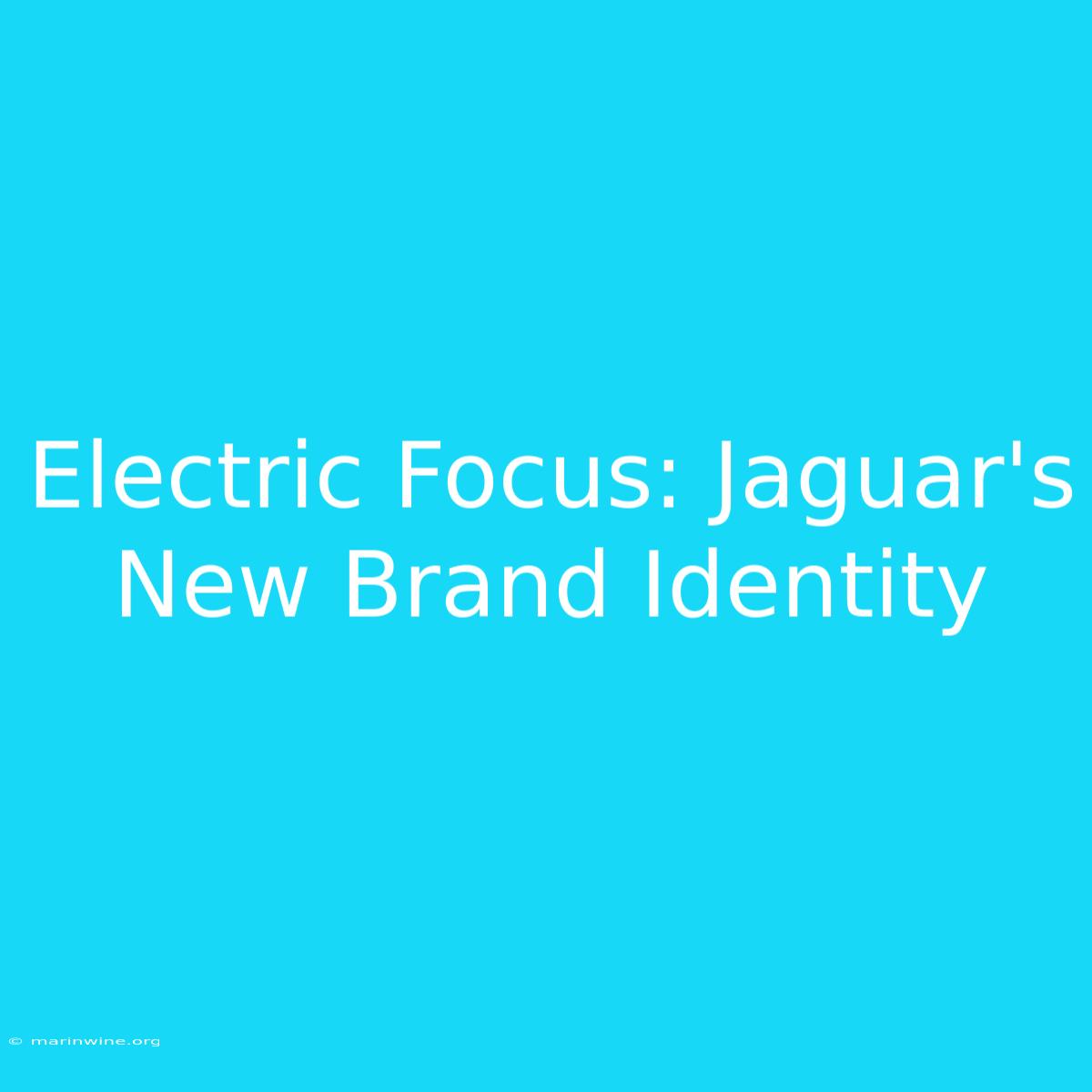 Electric Focus: Jaguar's New Brand Identity