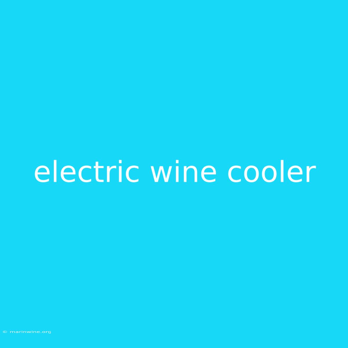 Electric Wine Cooler