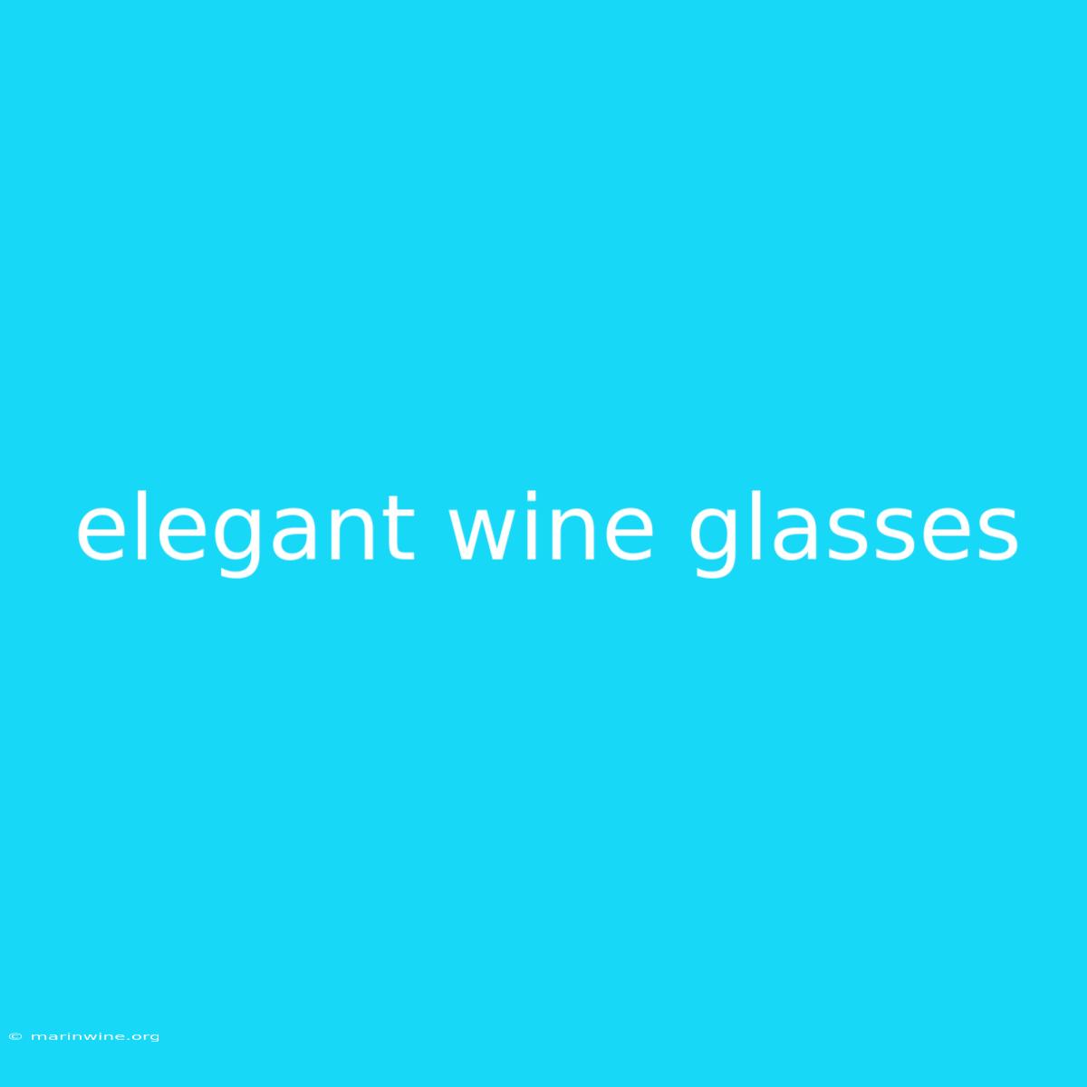 Elegant Wine Glasses