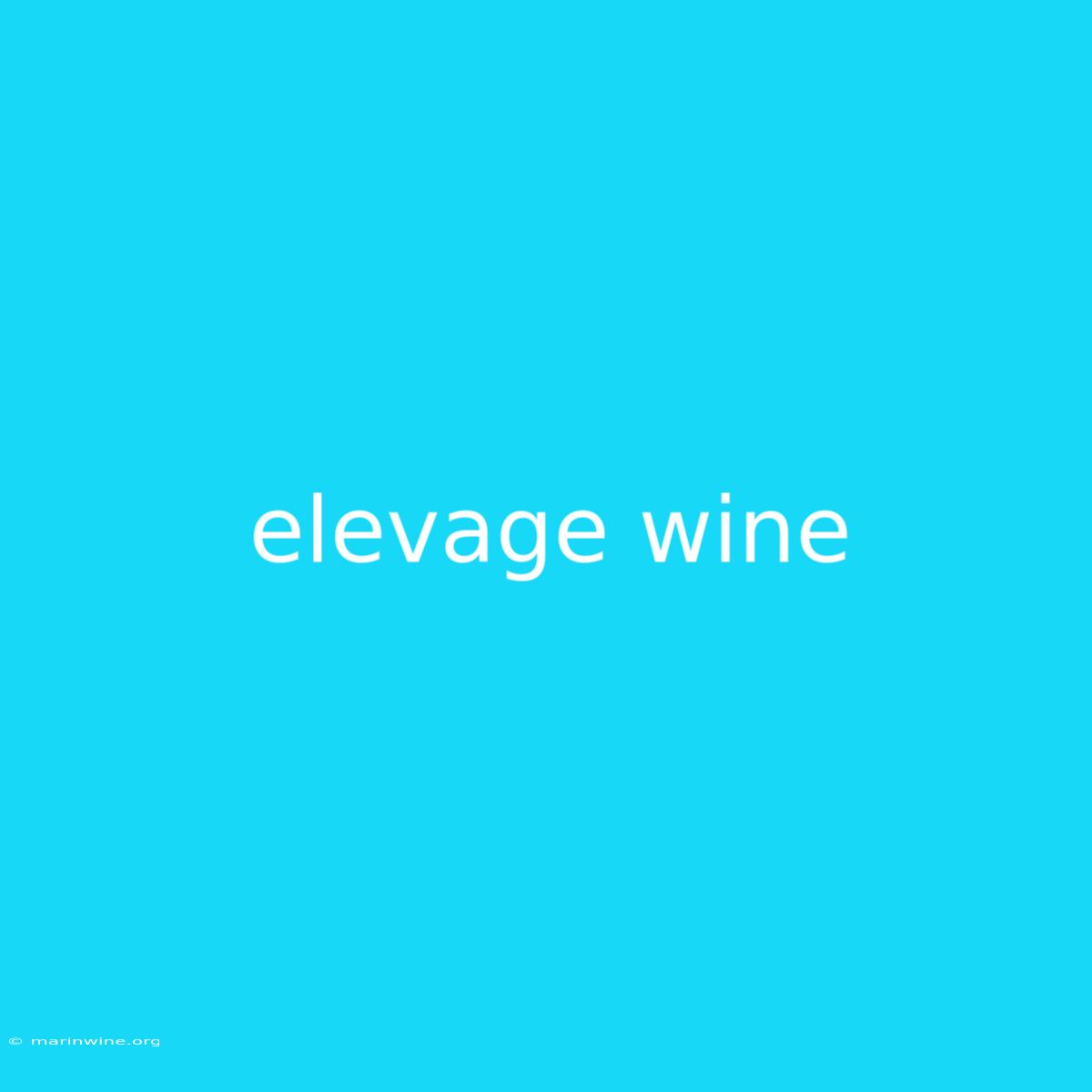 Elevage Wine