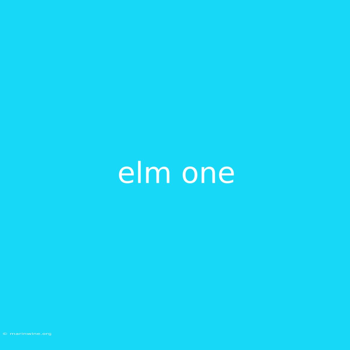 Elm One