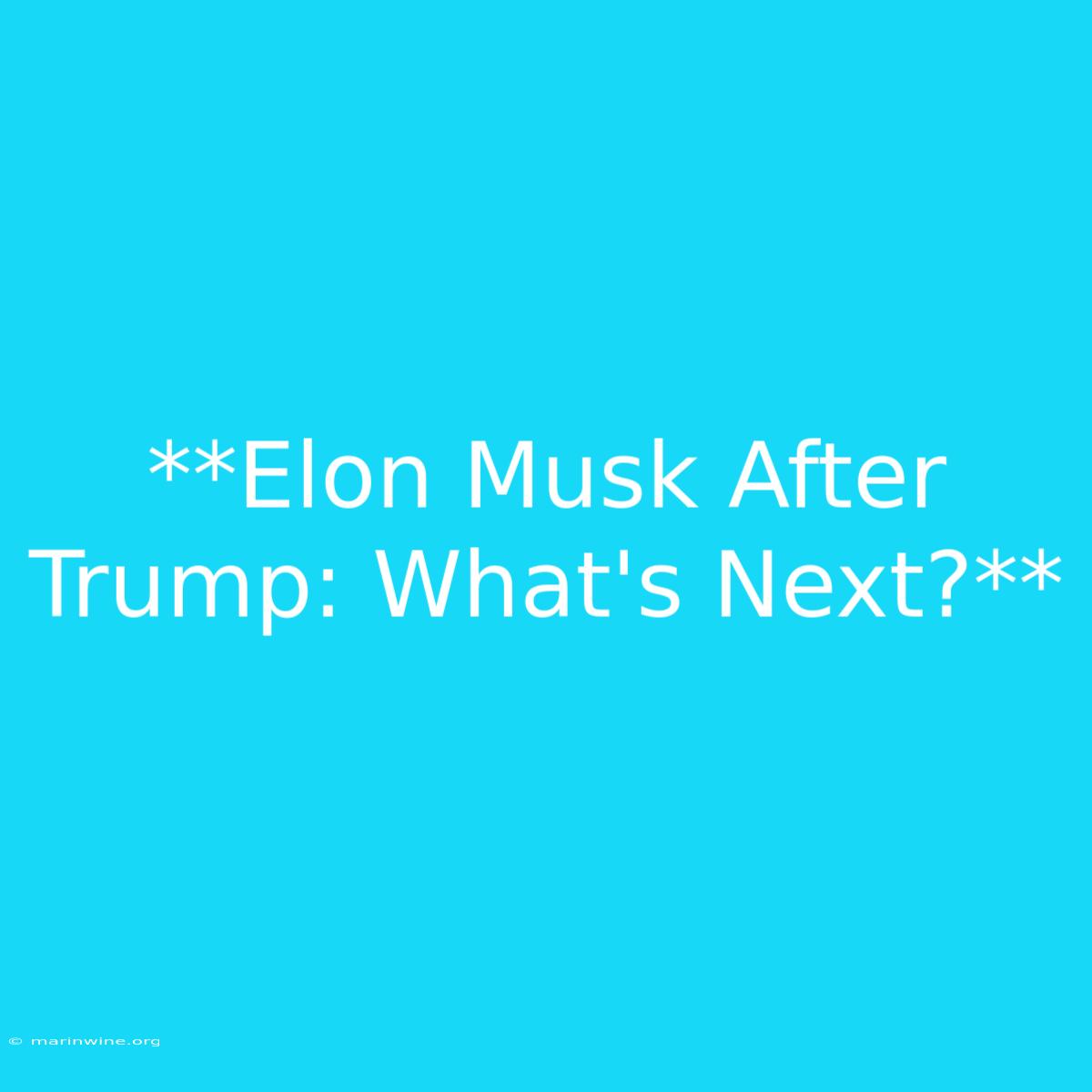 **Elon Musk After Trump: What's Next?**