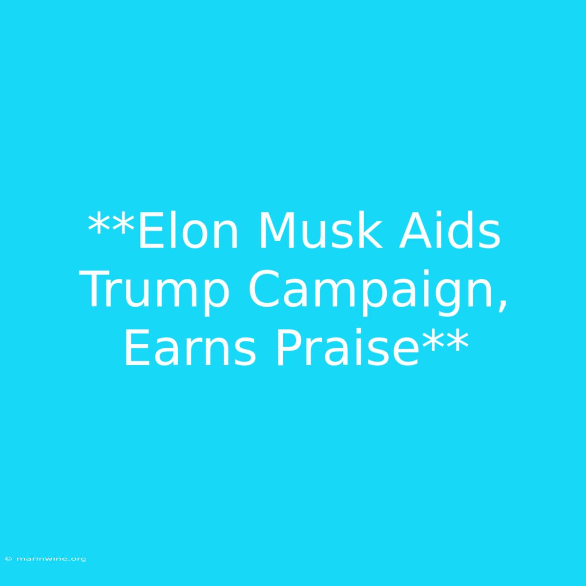 **Elon Musk Aids Trump Campaign, Earns Praise**