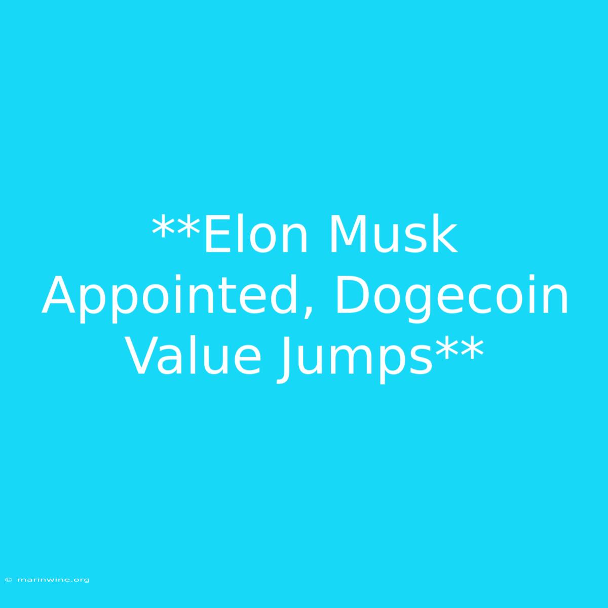 **Elon Musk Appointed, Dogecoin Value Jumps**