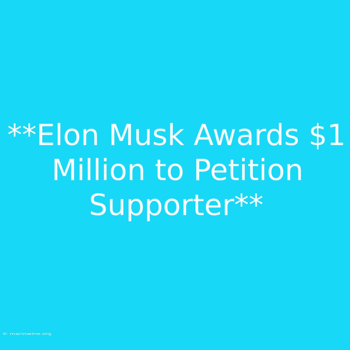 **Elon Musk Awards $1 Million To Petition Supporter**