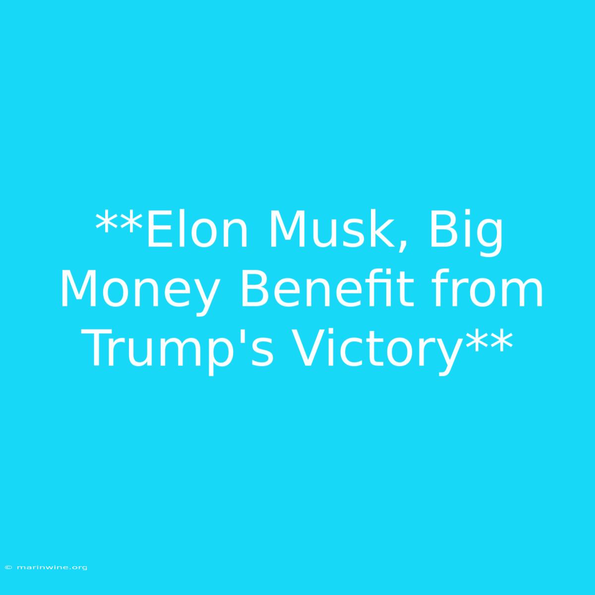 **Elon Musk, Big Money Benefit From Trump's Victory**