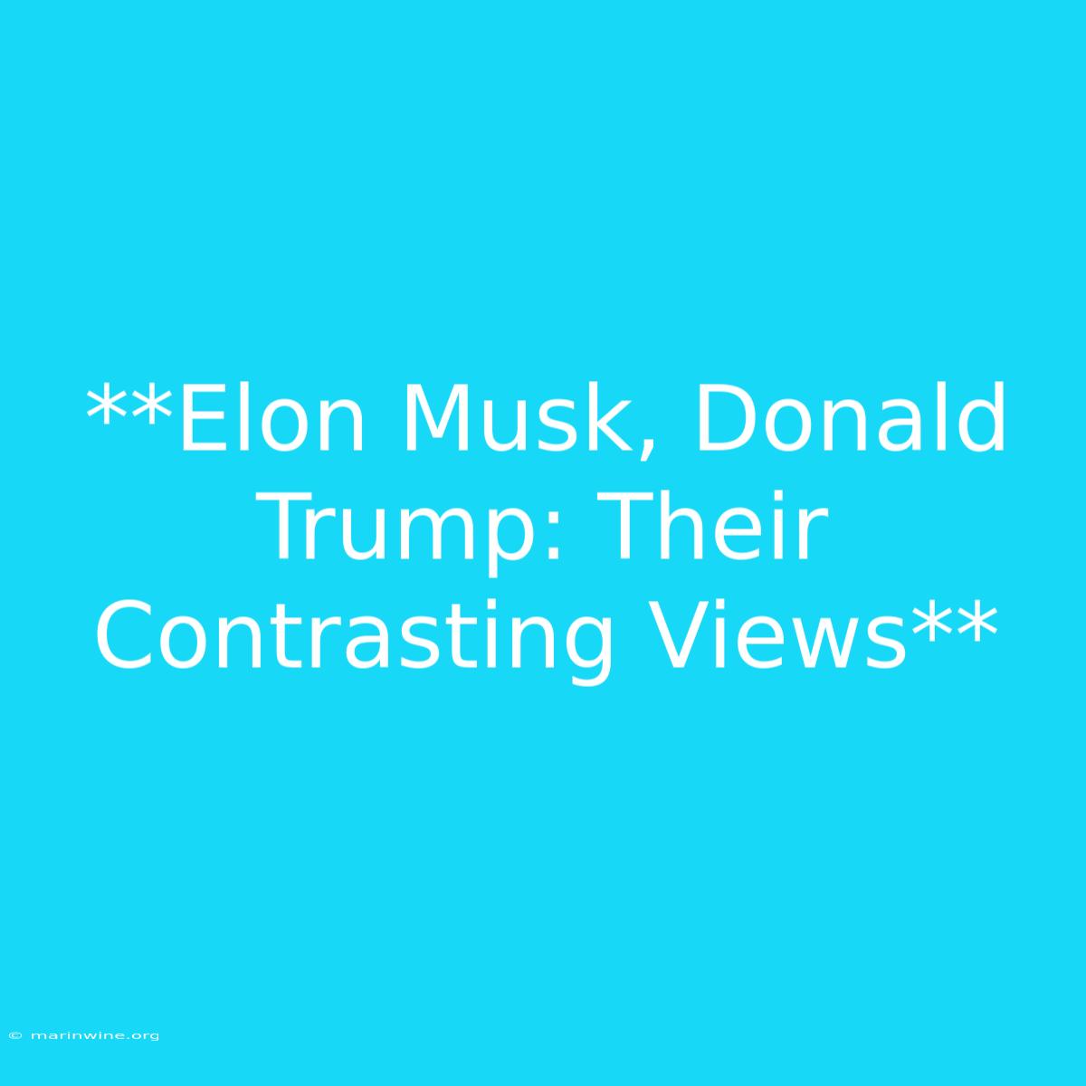 **Elon Musk, Donald Trump: Their Contrasting Views** 