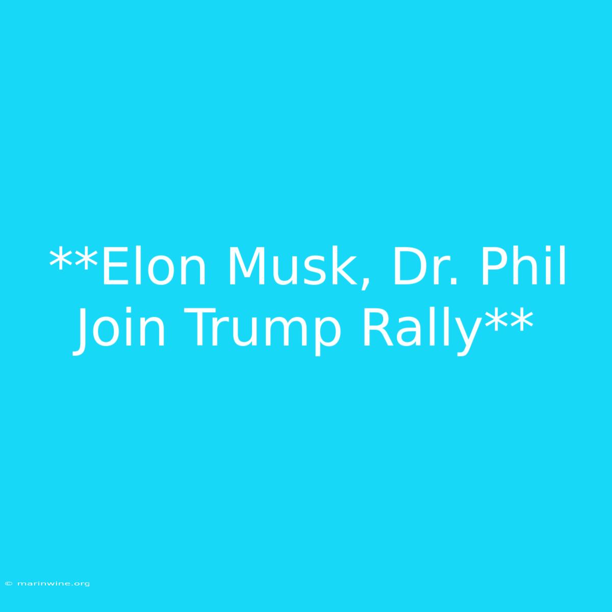 **Elon Musk, Dr. Phil Join Trump Rally** 