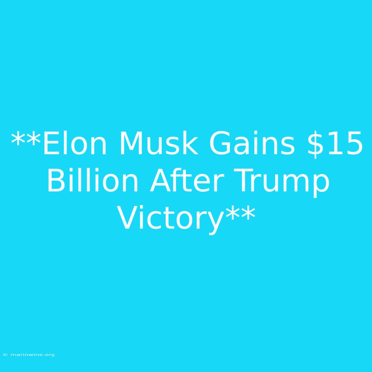 **Elon Musk Gains $15 Billion After Trump Victory**