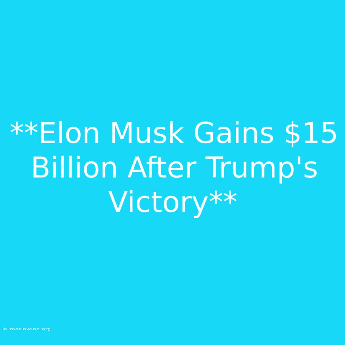 **Elon Musk Gains $15 Billion After Trump's Victory**