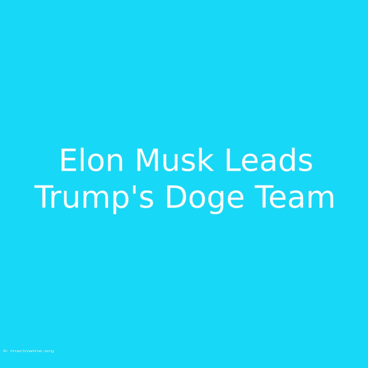 Elon Musk Leads Trump's Doge Team