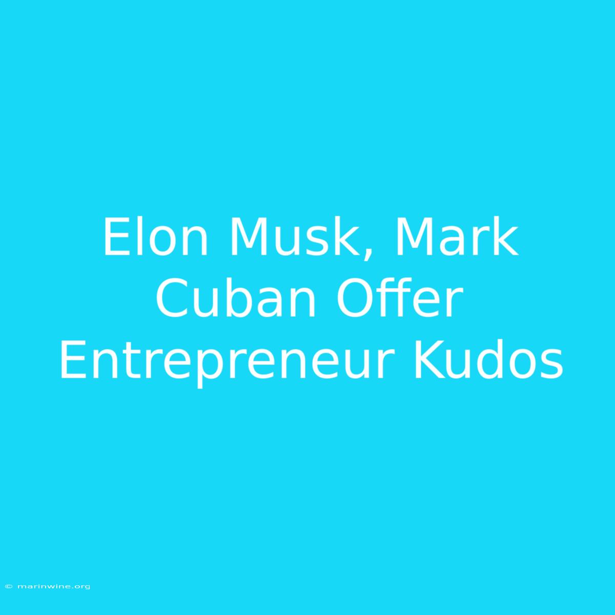 Elon Musk, Mark Cuban Offer Entrepreneur Kudos