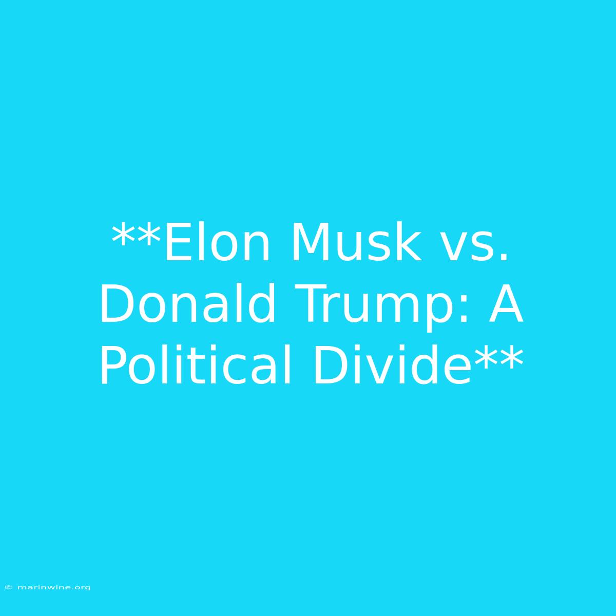 **Elon Musk Vs. Donald Trump: A Political Divide**