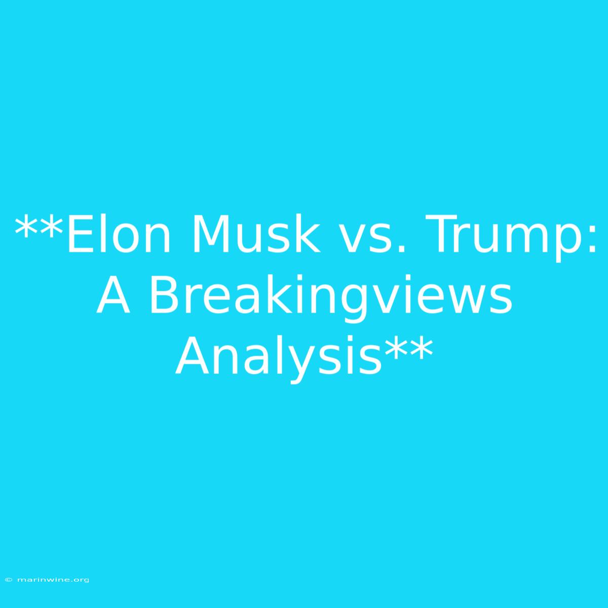 **Elon Musk Vs. Trump: A Breakingviews Analysis**