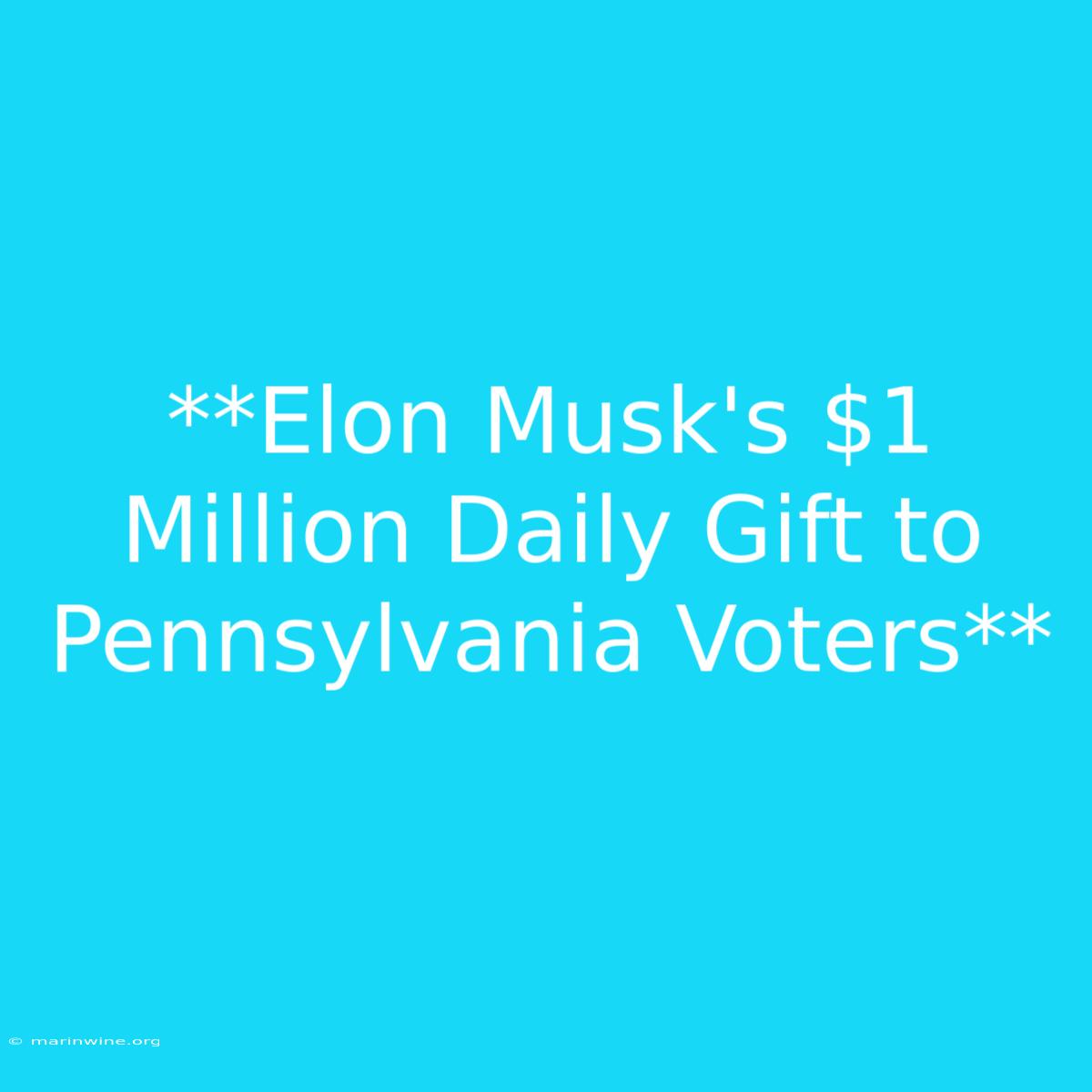 **Elon Musk's $1 Million Daily Gift To Pennsylvania Voters**