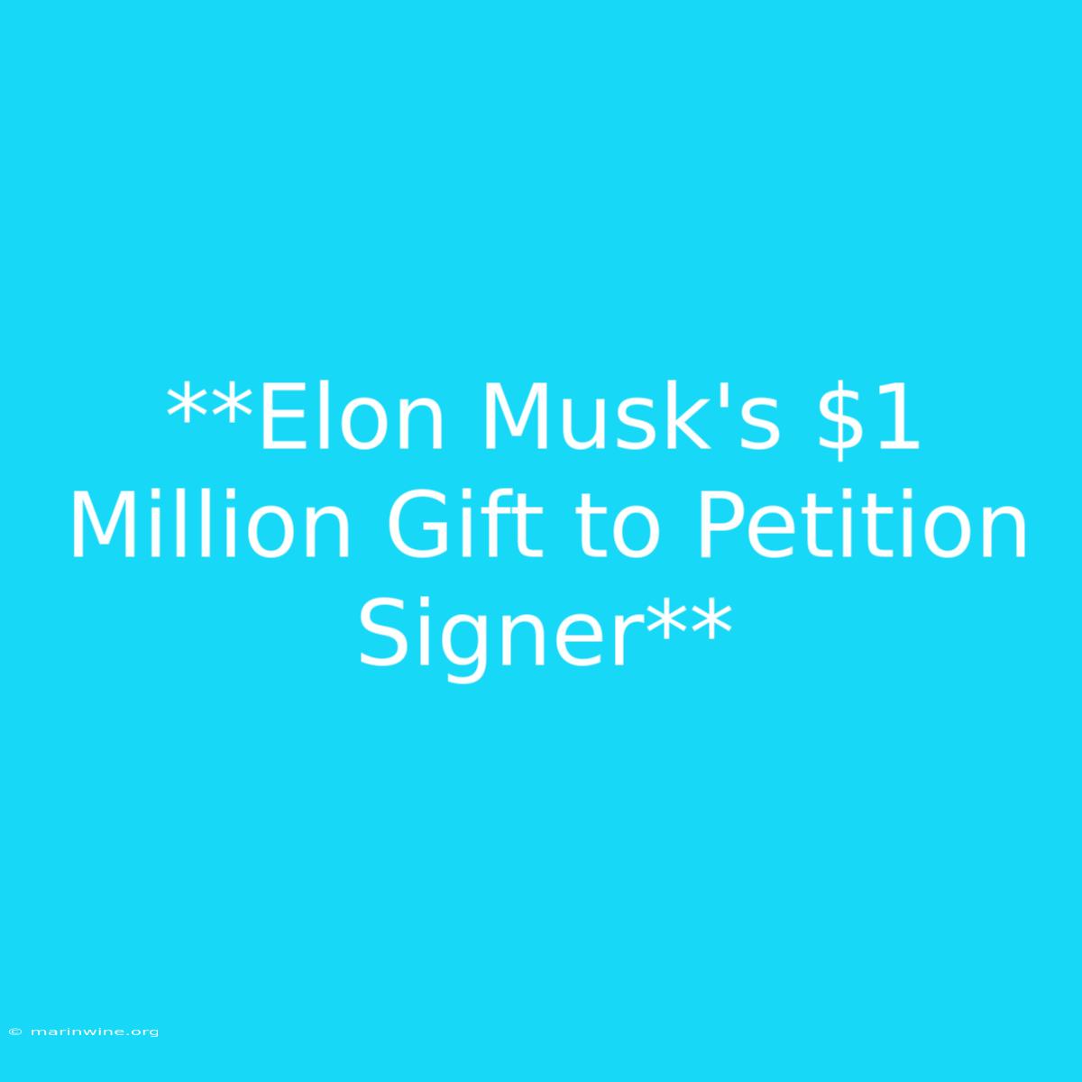 **Elon Musk's $1 Million Gift To Petition Signer** 