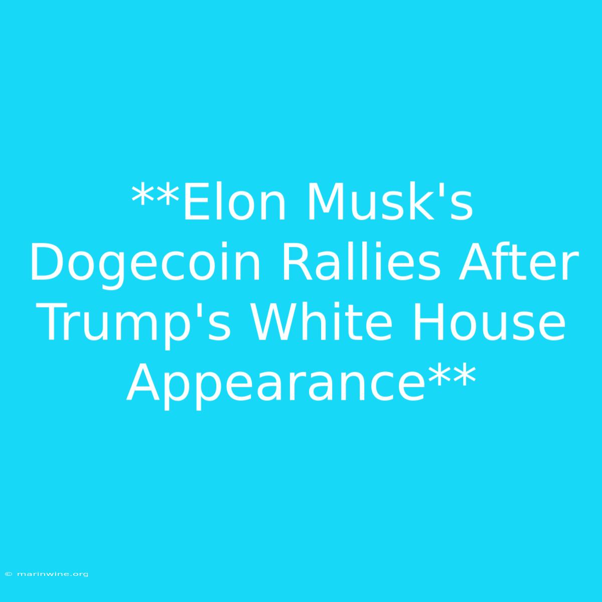 **Elon Musk's Dogecoin Rallies After Trump's White House Appearance**