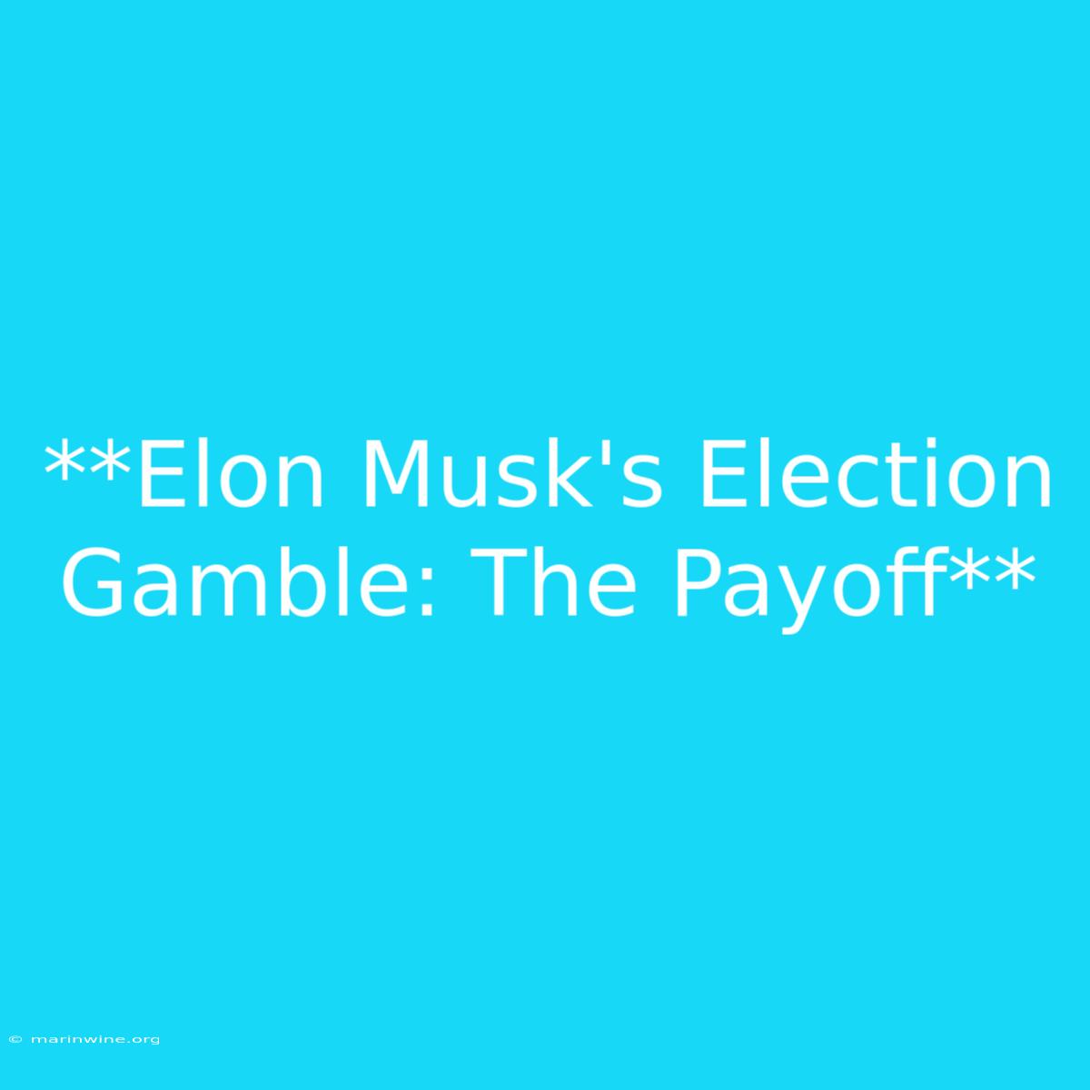 **Elon Musk's Election Gamble: The Payoff**