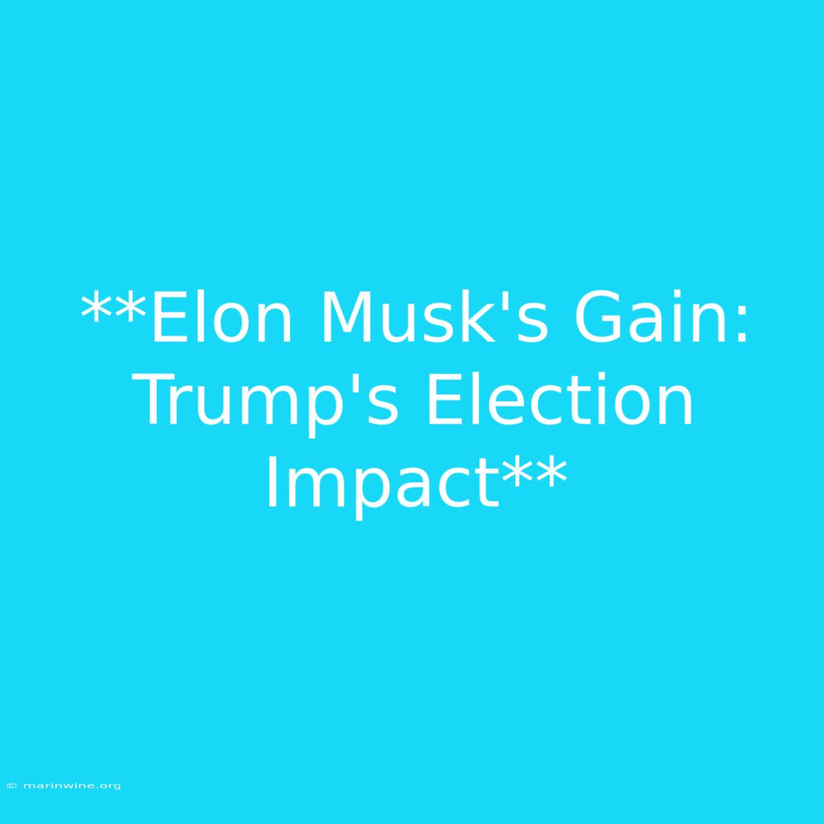 **Elon Musk's Gain: Trump's Election Impact** 