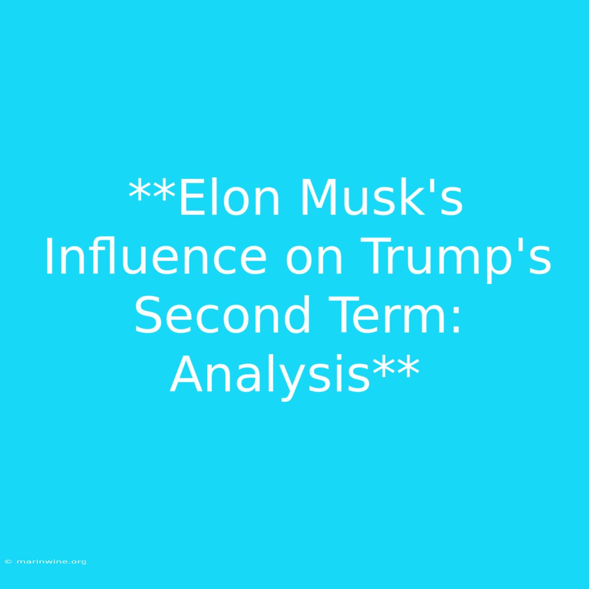 **Elon Musk's Influence On Trump's Second Term: Analysis** 