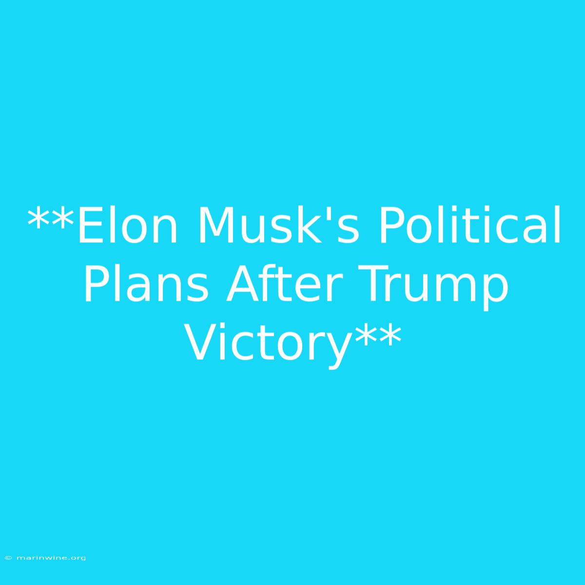 **Elon Musk's Political Plans After Trump Victory** 